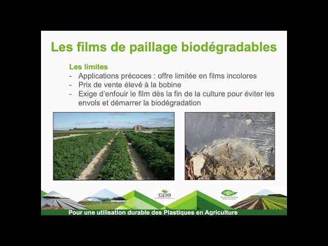Les films de paillage biodégradable pour l’agriculture et de leurs applications
