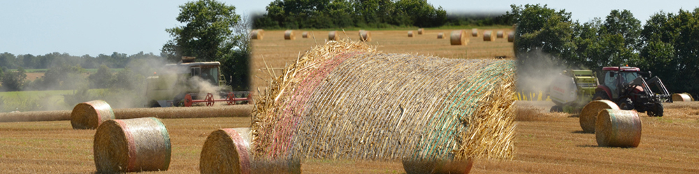 Ficelles agricoles en plasticulture animale : moissonneuse et roundballeuse en action sur du blé (Ph. M. Faugère)