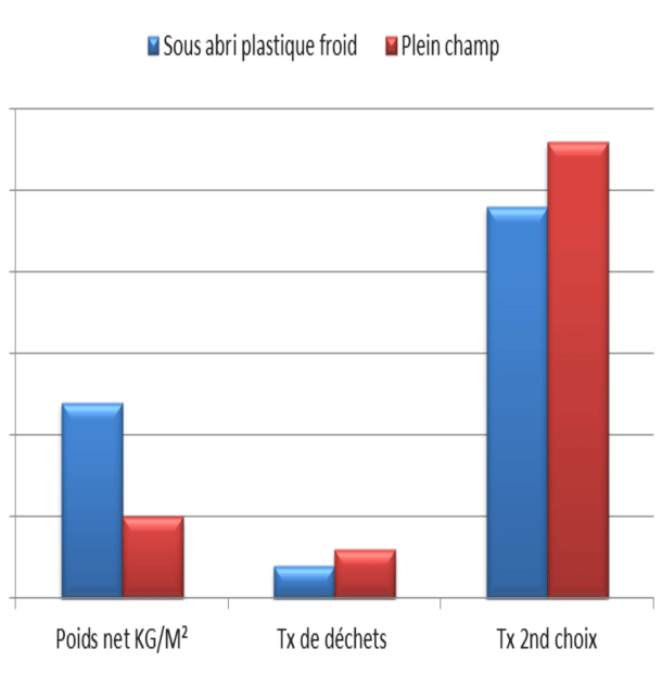 La plasticulture végétale, exemple 1 : Comparaison entre une production d'aubergines sous serre et une production en plein champ (Source Airel)