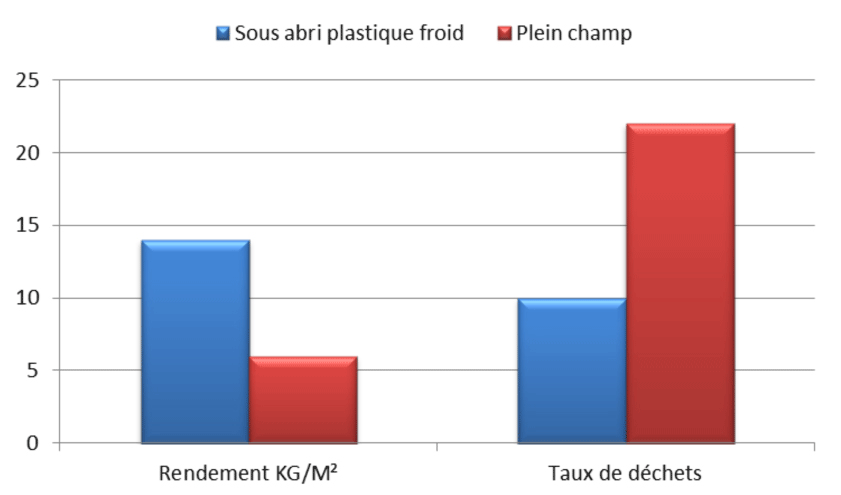 La plasticulture végétale, exemple 2 : Comparaison de rendement entre une production de tomates sous serre et une production en plein champ (Source Airel)