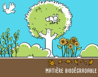 La biodégradation au cœur de l’équilibre de la nature