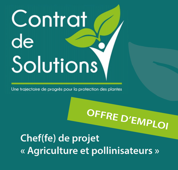 Contrat de solutions recherche Chef(fe) de projet «Agriculture et pollinisateurs»